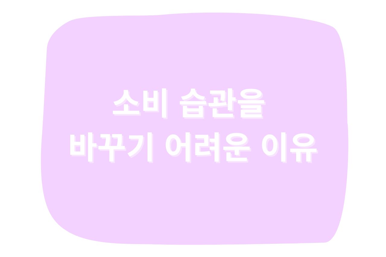 소비 습관을 바꾸기 어려운 이유