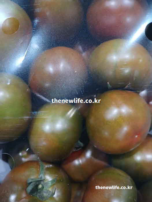 흑토마토 효능 혈관 건강 라이코펜 성분