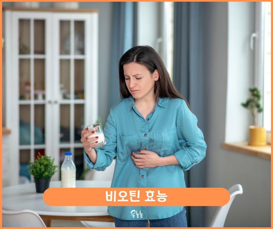 비오틴 효능