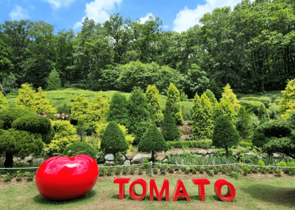 인천, 경기 7월,8월 축제 가볼만한 곳