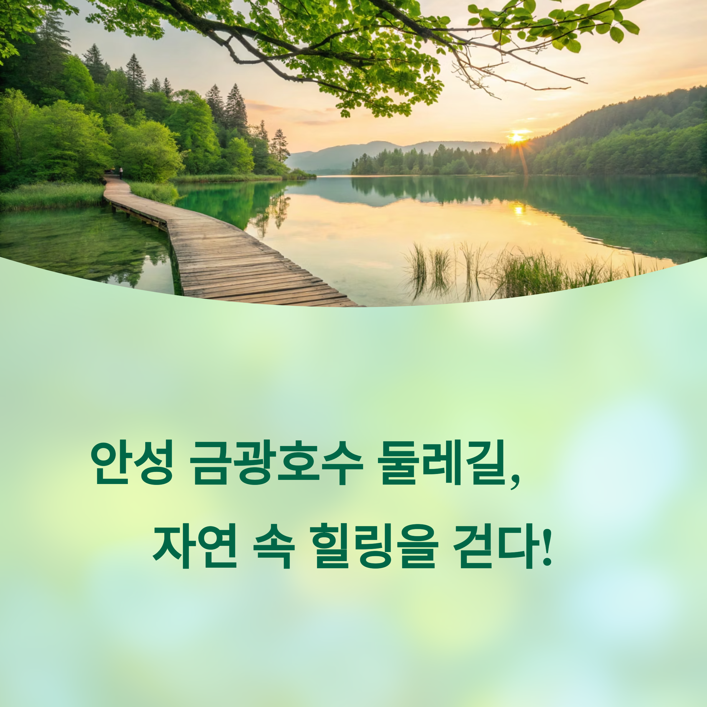 안성 금광호수 둘레길 완벽 정복