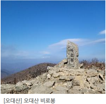 오대산 단풍