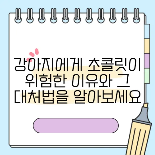 강아지에게 초콜릿이 위험한 이유와 그 대처법을 알아보세요