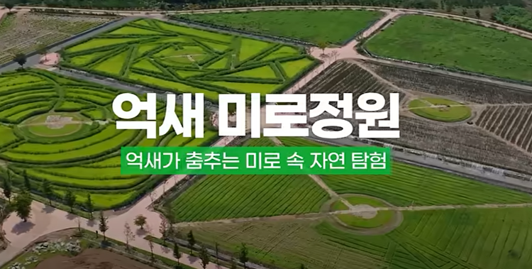 포천 한탄강 가든페스타