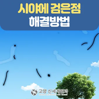 시야에 검은점 시야에 까만점이 보일때 원인과 대처법_3