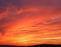 일본 미세먼지 사이트 보는방법