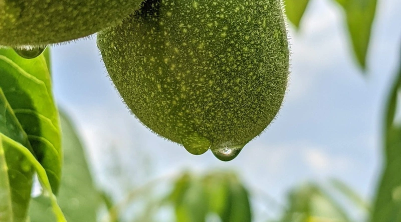 시험 준비를 위한 효과적인 전략