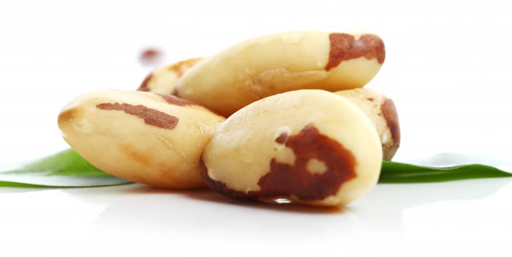 글루타치온 글루타티온 음식 브라질너트