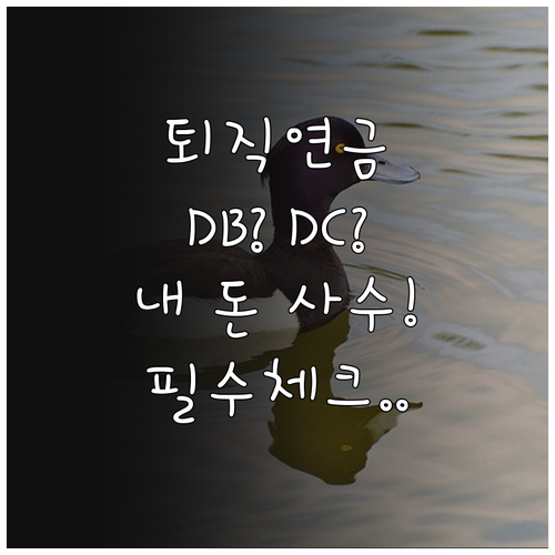 직장인 퇴직연금 유형 확인과 DB형 ..