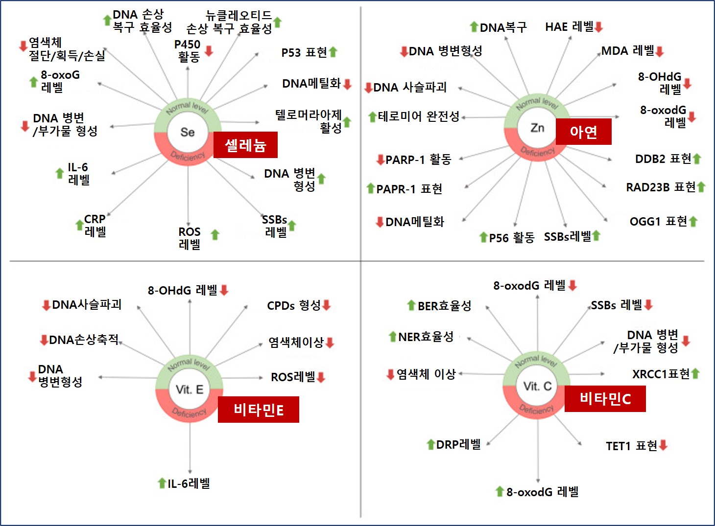 미네랄