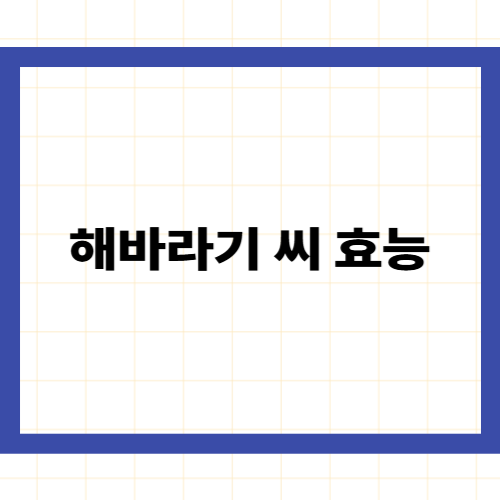 해바라기 씨 효능