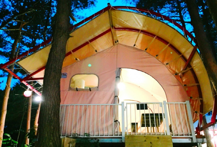 속초 밤하늘글램핑