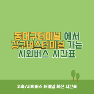 동대구터미널에서 강구버스터미널 가는 시외버스 시간표 최신정보