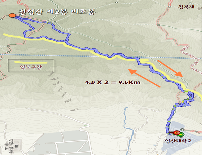 낙동정맥 부산근교 산 천성산 제2봉 비로봉 등산 후기