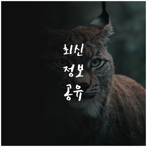 2025 여주시 예방접종 누구에게 어..