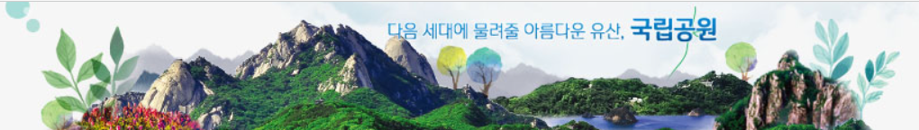태백산 CCTV