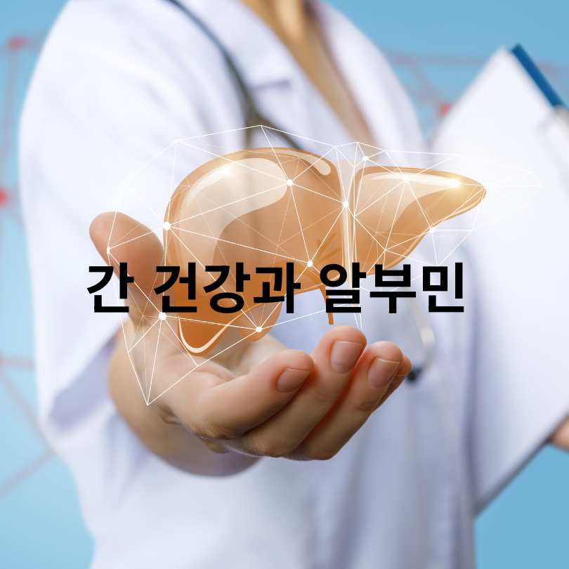 알부민 효능 총정리