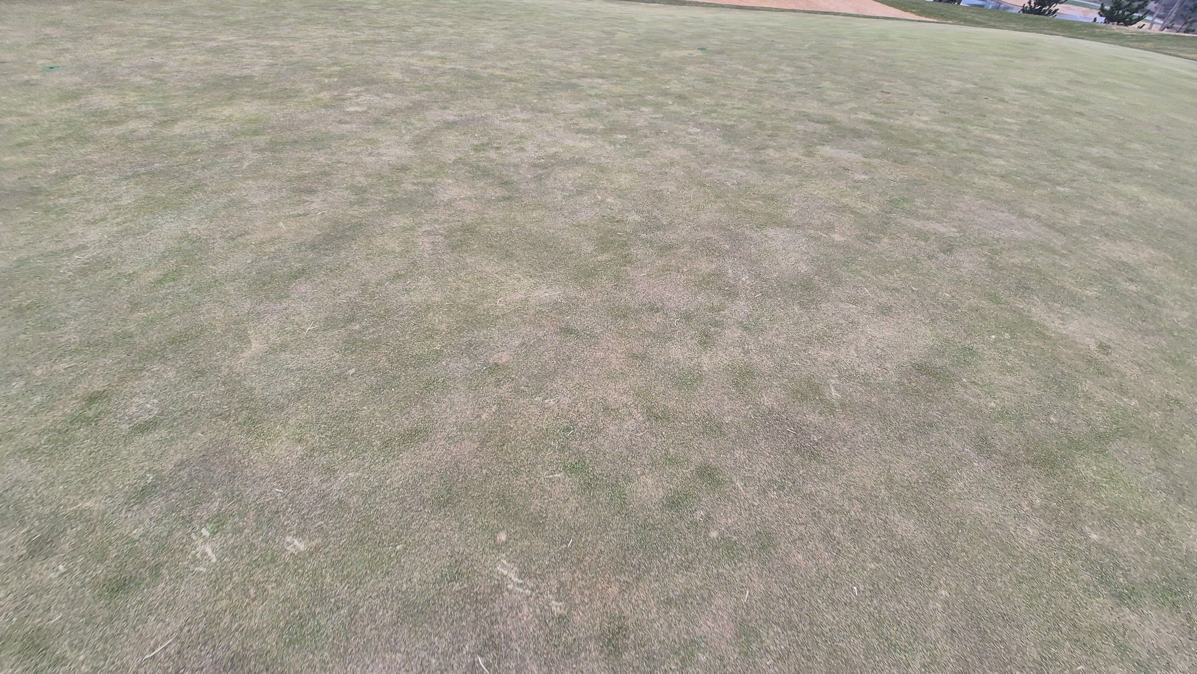 더헤븐cc 사우스-웨스트 코스 그린관리상태