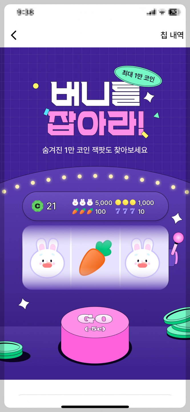 버니를 잡아라