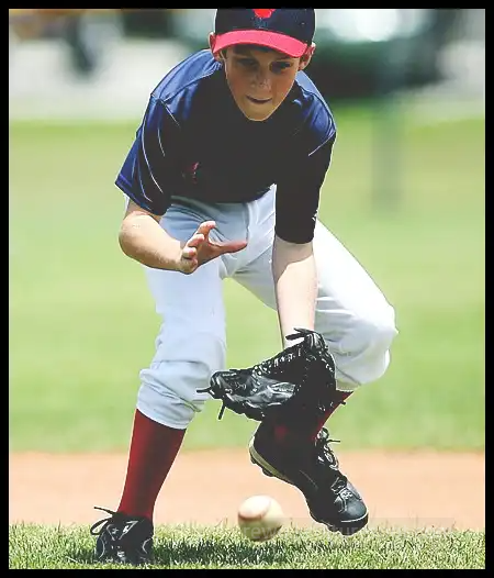 2024 WBSC 야구 프리미어 12 대표팀 명단 (28명 최종 확정)