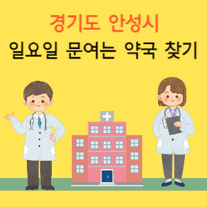 안성시 일요일 문여는 약국 찾기