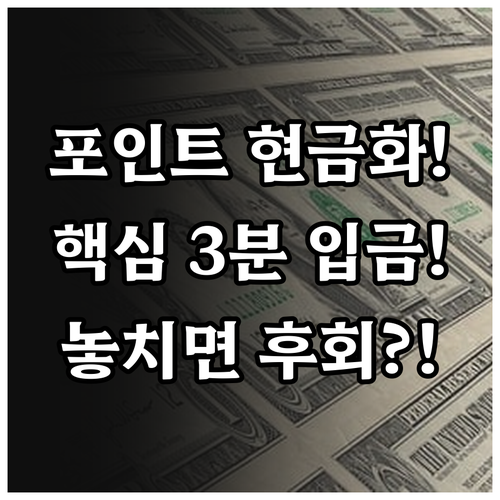 KB국민카드 포인트리 현금 전환 및 ..