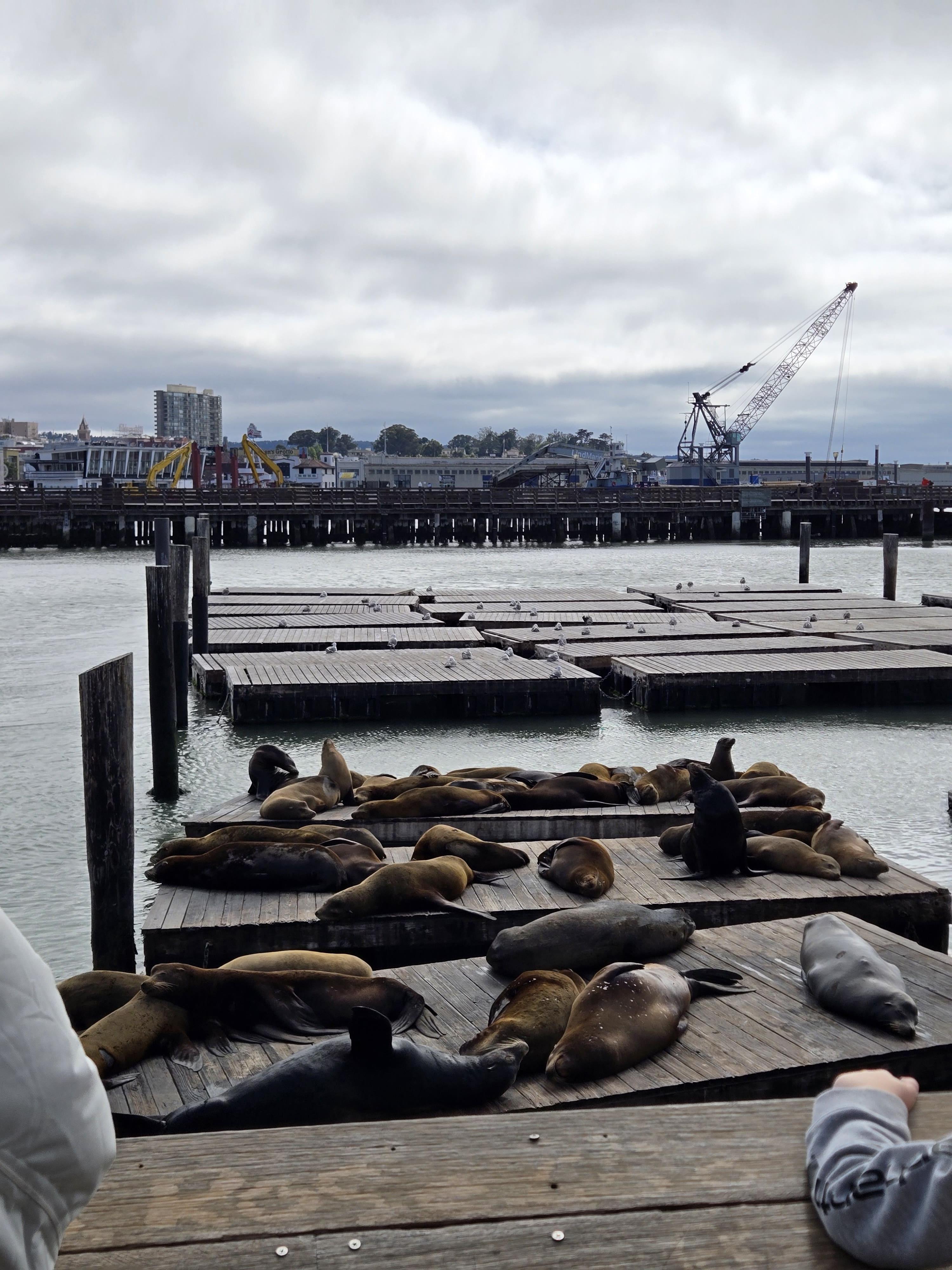산호세에서 떠난 샌프란시스코 당일치기 여행기 관련사진