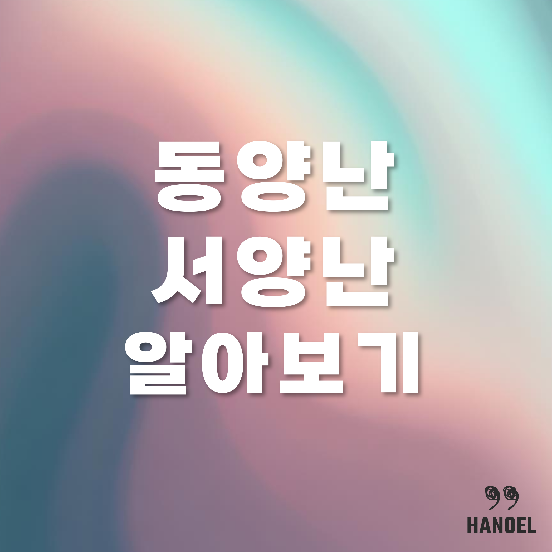 집에서 키우는 난 종류 알아보기 동양난, 서양난