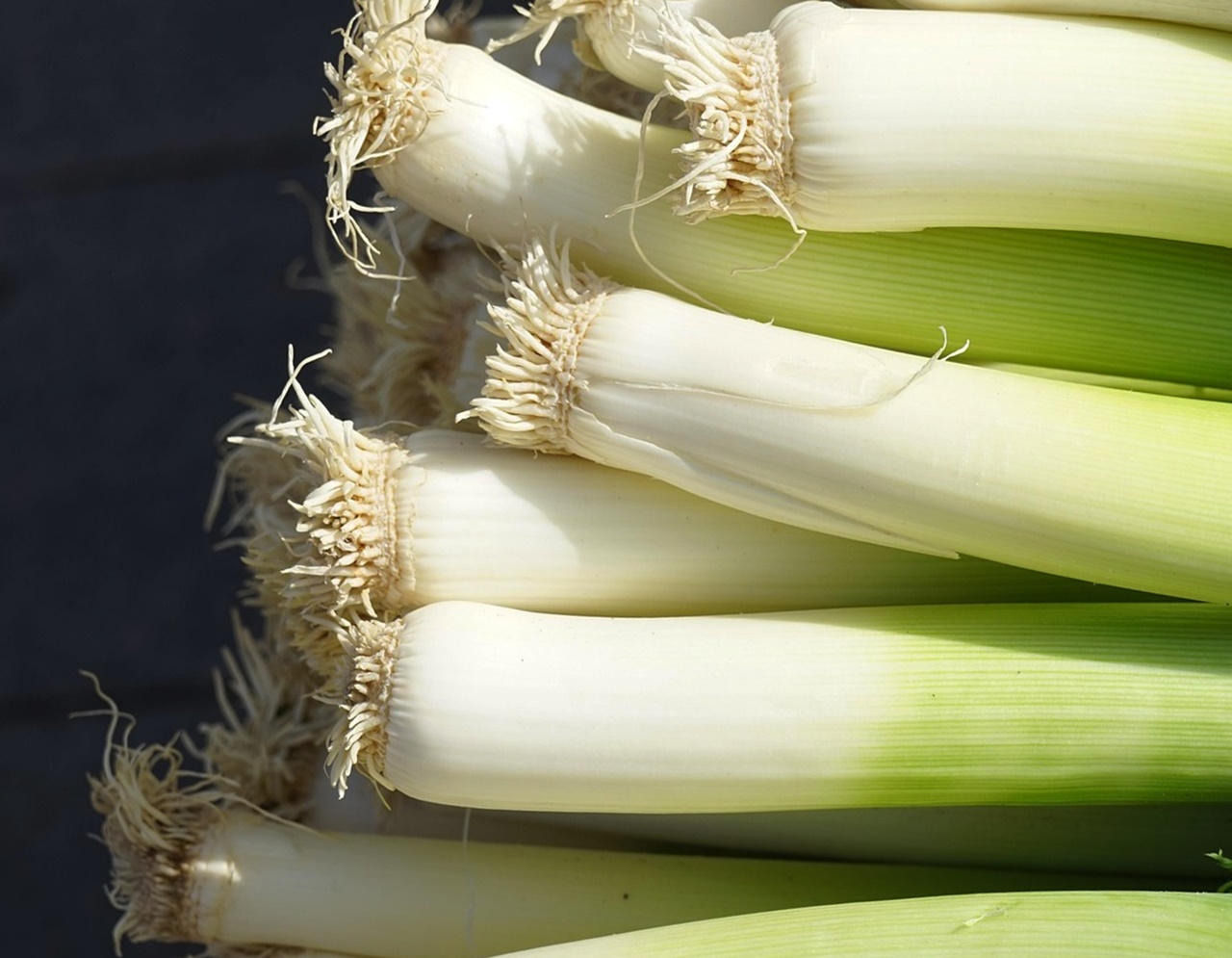 베란다 식물 집사 급증! 대파·상추 집에서 키워 '무지출 챌린지' 도전하기
