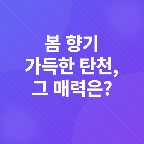 벚꽃 로제 샴페인 피크닉_1