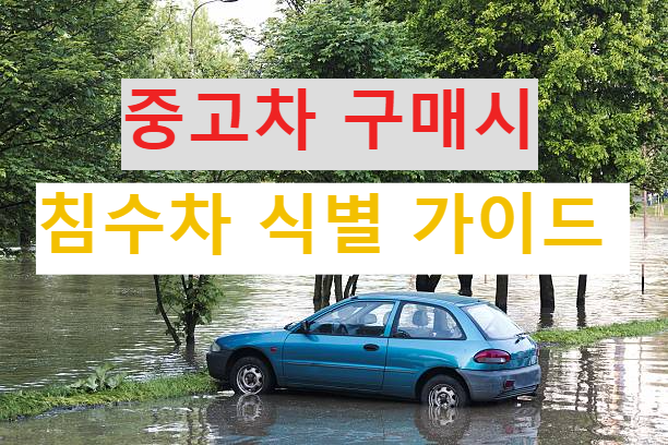 침수차 식별 가이드
