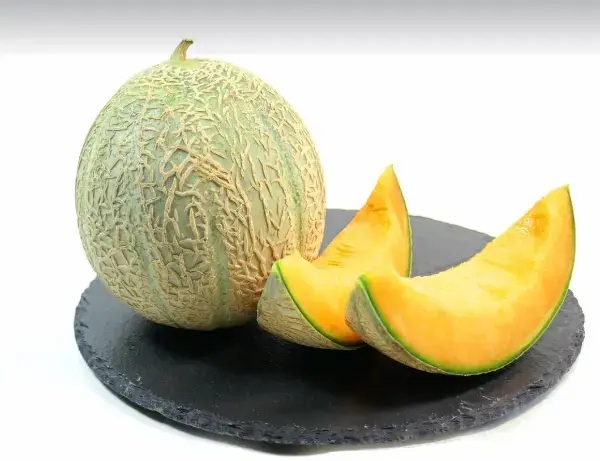 참외 VS 멜론, 같은 듯 다른 여름 과일 비교 - 당도, 효능, 제철, 보관법까지 비교