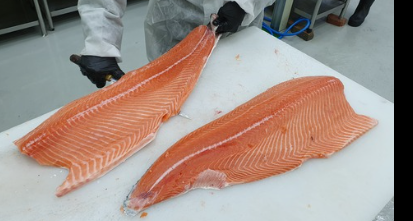 비타민d 부족증상 하루 권장량 