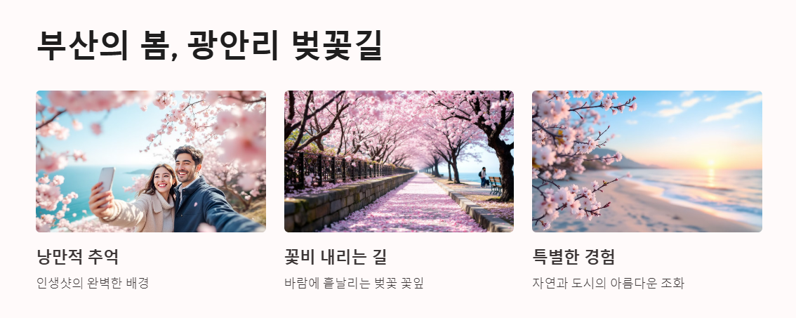 광안리 남천동 벚꽃거리 주차 맛집 꿀팁 총정리