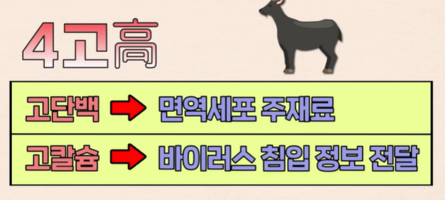 흑염소진액