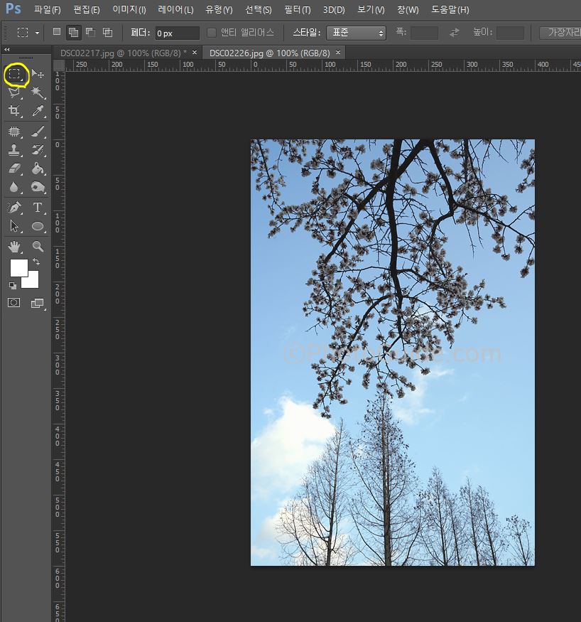 포토샵 사진 합치기