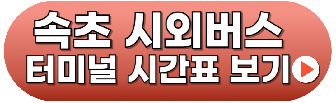 속초시외버스터미널 시간표 예매방법