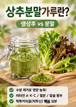 상추분말가루-효능-먹는방법-치아미백-효과
