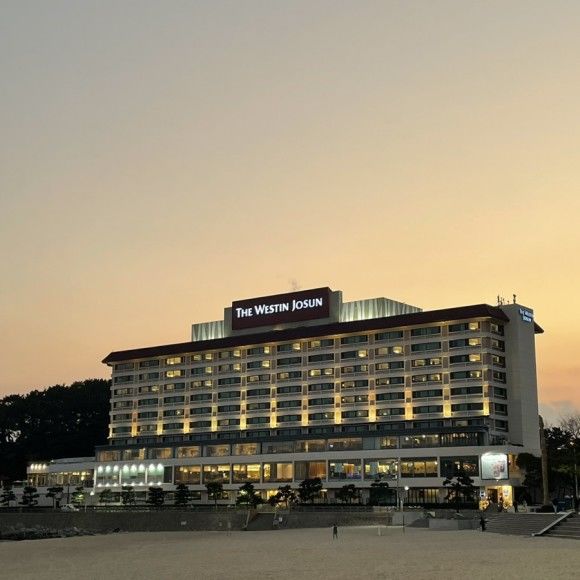 한국 블랙프라이데이 무신사 쓱데이 해외직구사이트