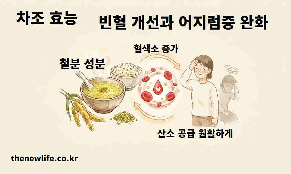 차조 효능 빈혈 개선 어지럼증 완화