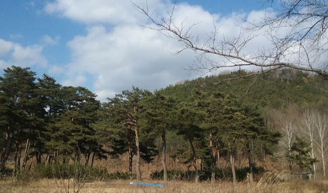 울진 가볼만한곳 베스트10