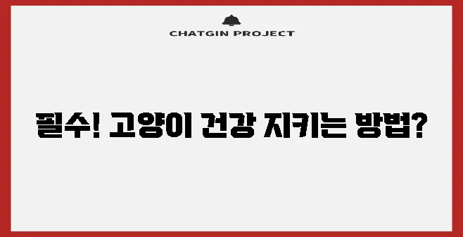 고양이 예방 접종은 반려묘 보호를 위한 필수 지침입니다!