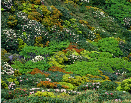 6월에 가기 좋은 국내 힐링 여행지 추천
