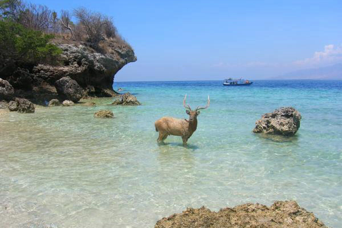 인도네시아 발리 여행