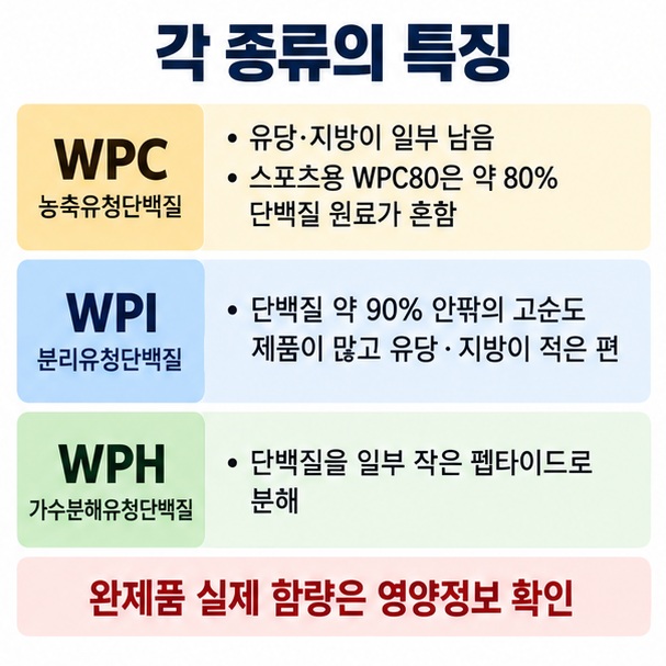 WPC 농축유청단백질, WPI 분리유청단백질, WPH 가수분해유청단백질의 특징을 비교한 이미지