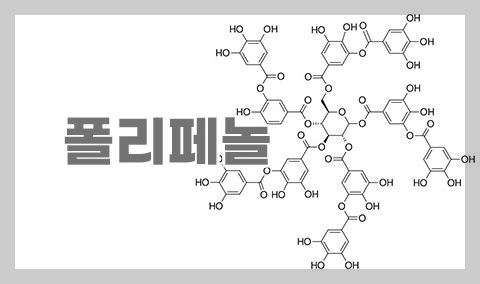 폴리페놀