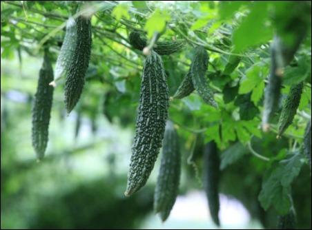 당뇨에 좋은 음식 -3