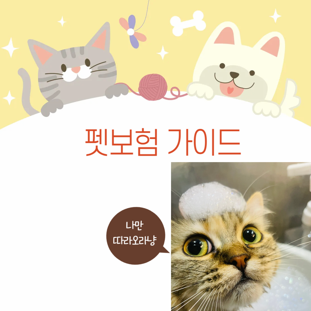 펫보험 가이드