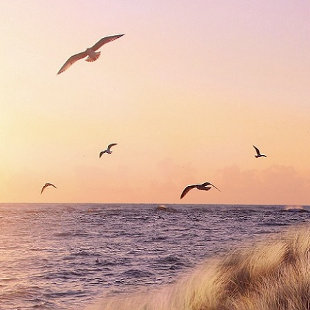 매너리즘에서 벗어나는 방법