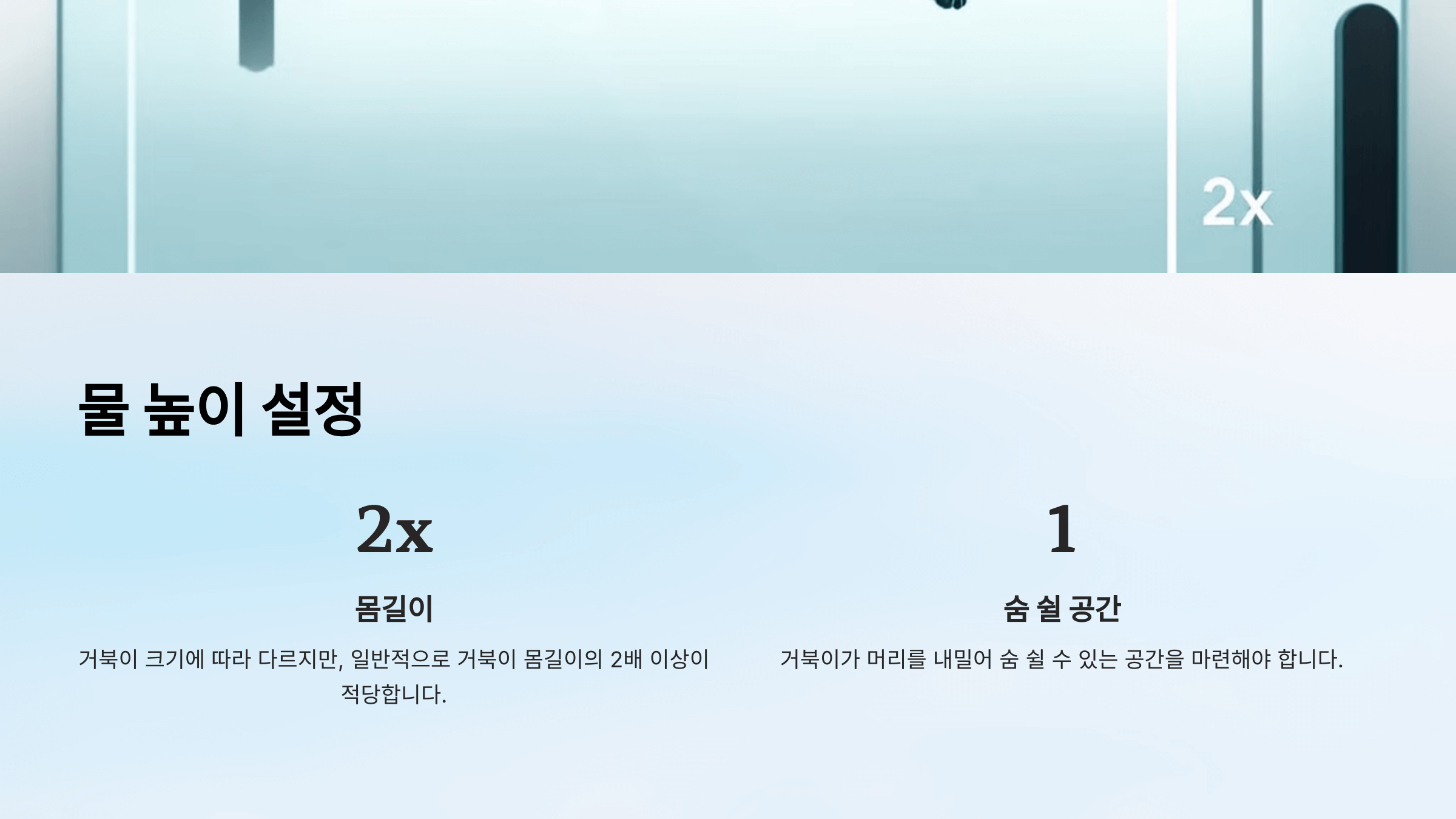 반수생 거북이 사진입니다.